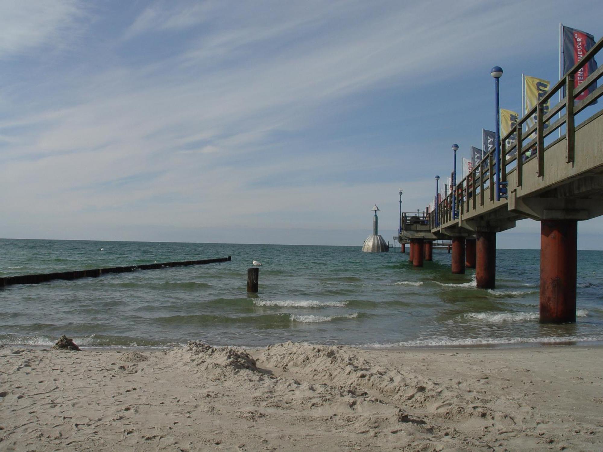 Ferienwohnung Am Waeldchen Ostseeheilbad Ostseeheilbad Zingst Exterior foto