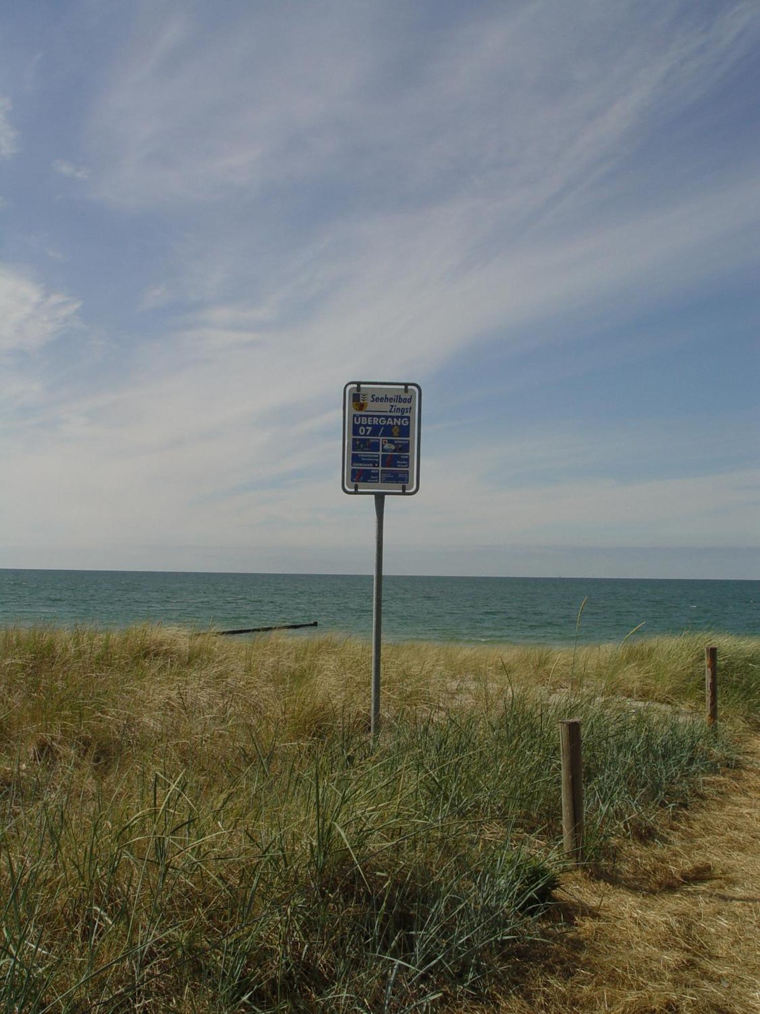 Ferienwohnung Am Waeldchen Ostseeheilbad Ostseeheilbad Zingst Exterior foto